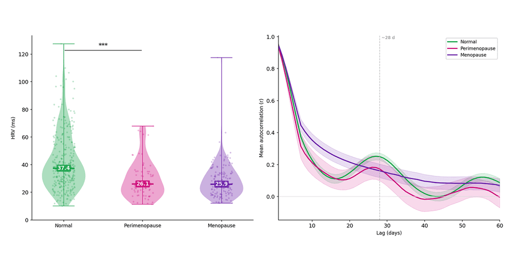 Menopause Shows Up in Your HRV Before It Shows Up on the Calendar