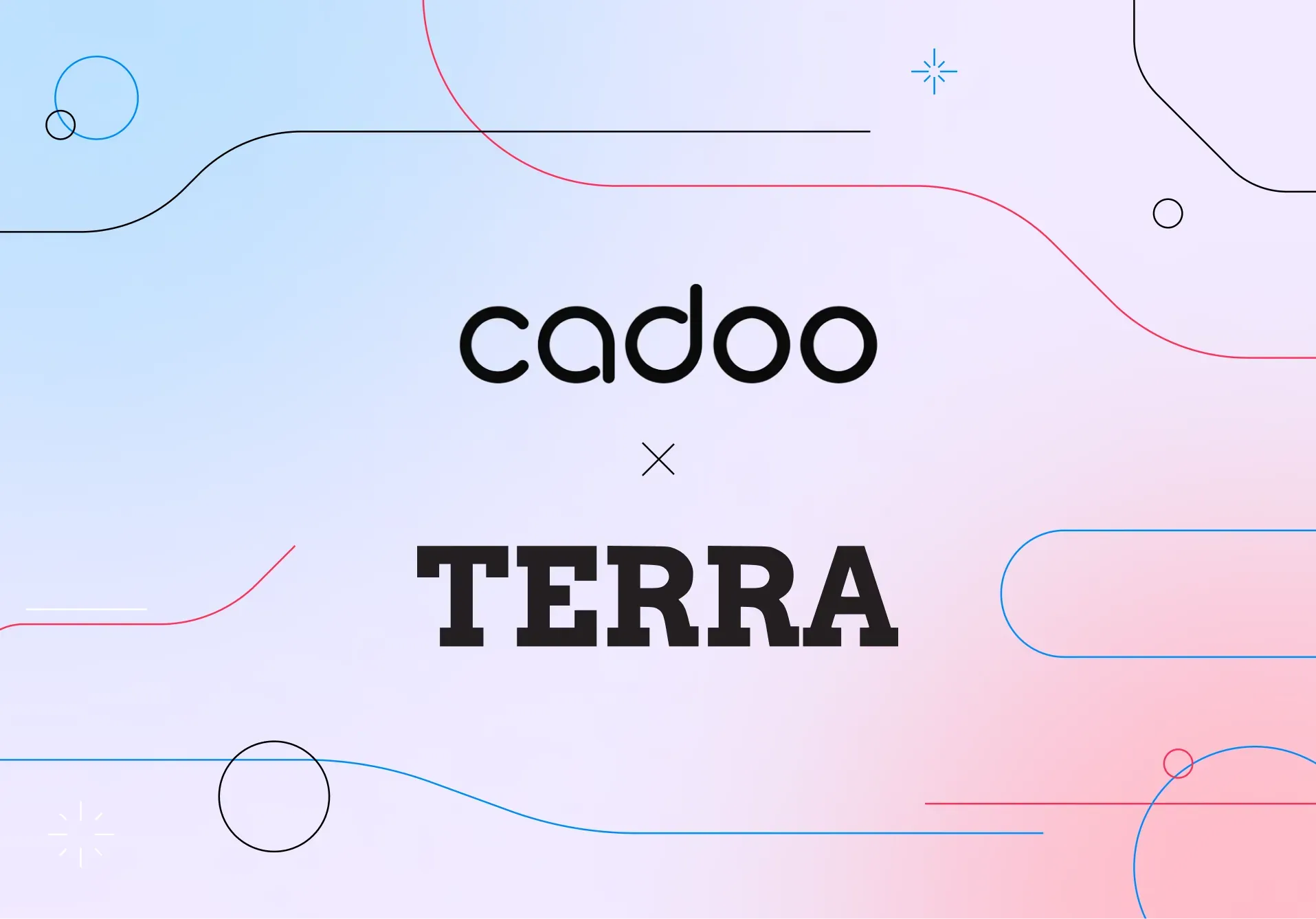 Startup Spotlight: Cadoo