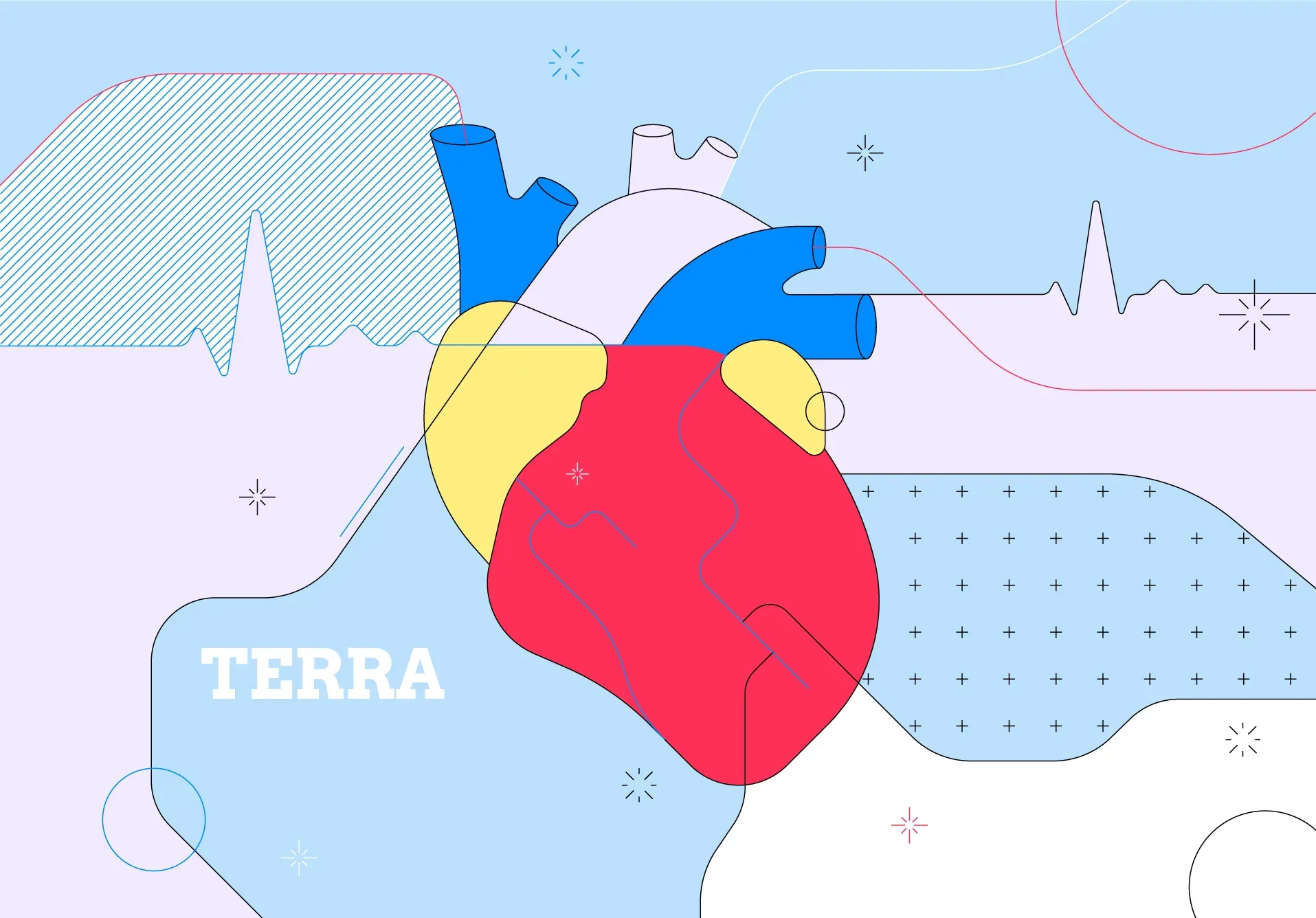 ECG: list of wearables that contain an Electrocardiogram sensor